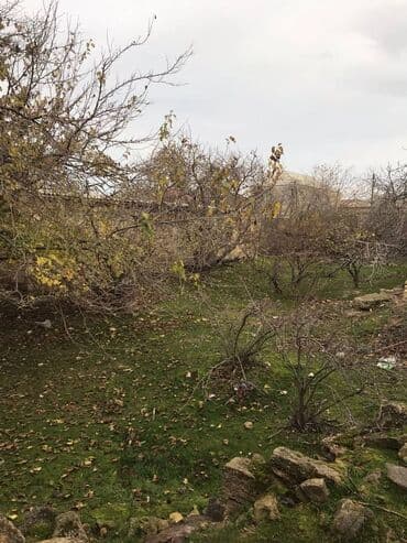 5 sot nece metrdir: 7 sot, Makler, Kupça (Çıxarış) — 8