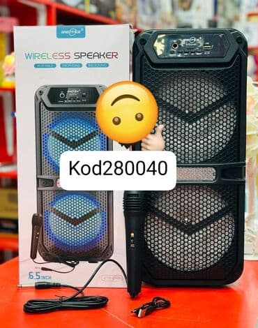 pioner maqnitofon: Kod 280040 Karaoke mikrofon səsucaldan usb və s. Diqqət Çatdırılma — 1
