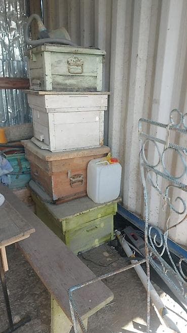 3 tekerlekli motor: Sənaye elektrik mühərriki və kasnaklı reduktor bloku - Tip: Elektrik — 3