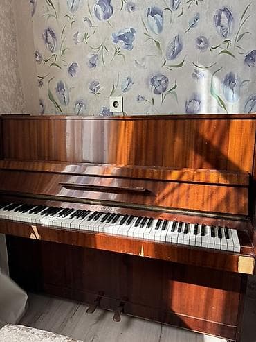 88: Piano, Belarus, Akustik — 1