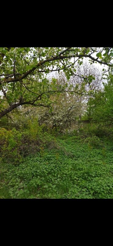 lenkeran torpaq satilir: Quba Qusar yolunun üstünde yerlewir. 12sot torpaq sahesi satilir — 4