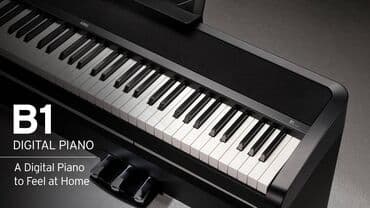 hakim music: Piano, Korg, Rəqəmsal, Yeni, Pulsuz çatdırılma, Rayonlara çatdırılma, Ünvandan götürmə — 17