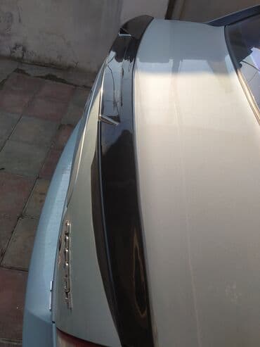 spolerler: Spoyler, İşlənmiş, Plastik, UNİVERSAL, Ödənişli çatdırılma, Rayonlara çatdırılma, Pulsuz çatdırılma — 2