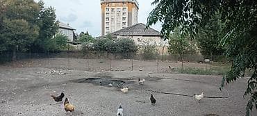 bakida torpaq almaq: 3 sot, Tikinti, Barter mümkündür, Kupça (Çıxarış) — 5