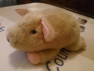 мягкая игрушка: Символ 2019 года, мягкая игрушка поросенок — 4