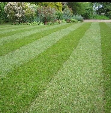 su motor: Qazonun satışı çatdırılması, qazonun düzülməsi, əgər bağınızda — 4