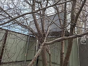 Bak, Metal, 1500 l l, Yeni, Ünvandan götürmə