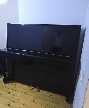 elektron gitara satisi: Piano, Belarus, Akustik — 5