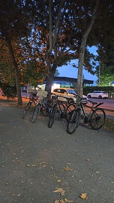 wolf bicycle: Yeni Şəhər velosipedi 29", sürətlərin sayı: 8, Ünvandan götürmə — 10