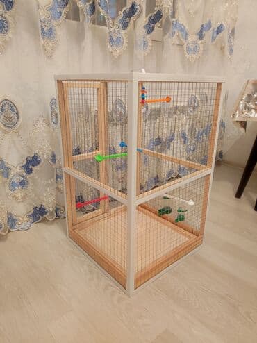 ag dovsan: Papuqay,dovşan,hamster,şinşila,bildirçin,cücə,xamyak,pişik,quş,tısbağa — 6