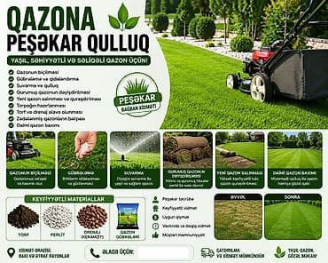 diffenbaxiya bitkisi: 🌿 QAZONA PEŞƏKAR QULLUQ XİDMƏTİ 🌿 Qazonunuzun sağlam, yaşıl və — 1