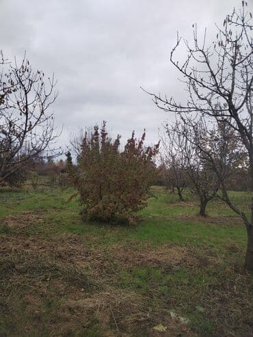 продажа 3 комнатных квартир в баку: Kənd təsərrüfatı, Su — 3