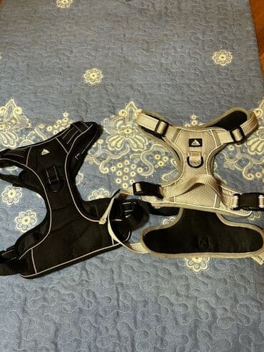 İt aksesuarları dəsti, tek tek qiymetler qeyd edilib endirim yoxdur