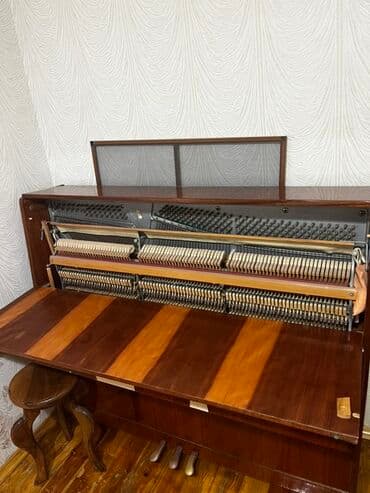 Gitaralar: Piano, Belarus, Akustik — 3