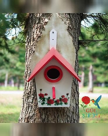 derzi qusu: Quş yuvası Sağlam və uzunömürlü ekoloji təmiz . Səliqəli və zövqlü — 9