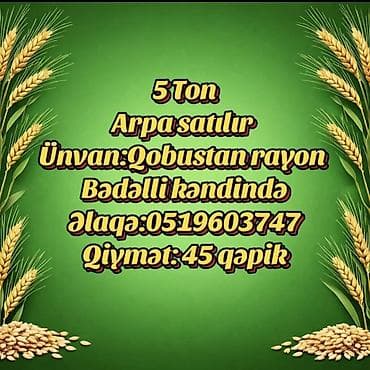 Məhsul: Arpa Miqdar: 5 ton Məkan: Qobustan rayonu, Bədǝlli kəndi lalafo.az -da Məhsul: Arpa Miqdar: 5 ton Məkan: Qobustan rayonu, Bədǝlli kəndi