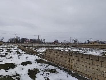 bakida tikis fabrikalari: 24 sot, Tikinti — 3