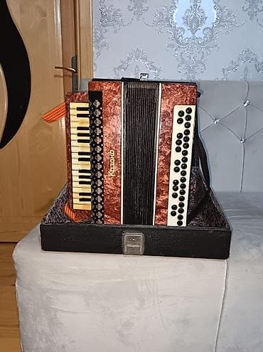 piano şəkilləri: Akustik Akkordeon — 3