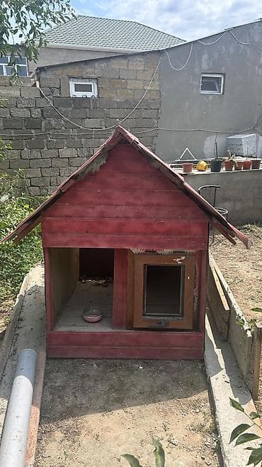 xamyak yuvası: İt evi – taxta konstruksiya, iki girişli - Material: qalın taxta — 1