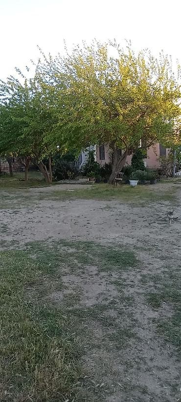 satlig evler kurdexani: 5 otaqlı, 110 kv. m, Orta təmir — 4