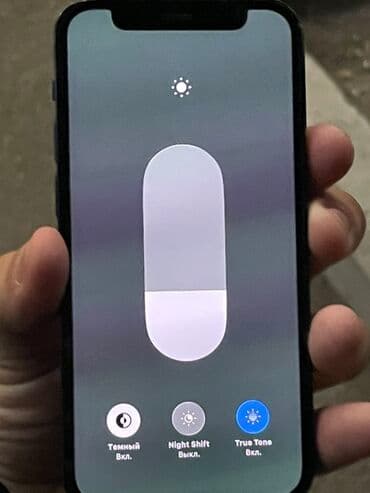 apple dubay: IPhone 12 mini, 128 GB, Göy, Face ID — 4