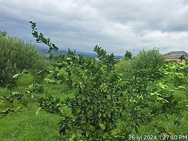 kiraye ev mingecevir: Bakı, 60 kv. m, 10 otaq, Hovuzsuz, İşıq, Su, Artezian quyusu — 7