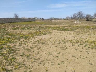 купить землю в кусарах: 24 sot, Mülkiyyətçi, Bələdiyyə — 2