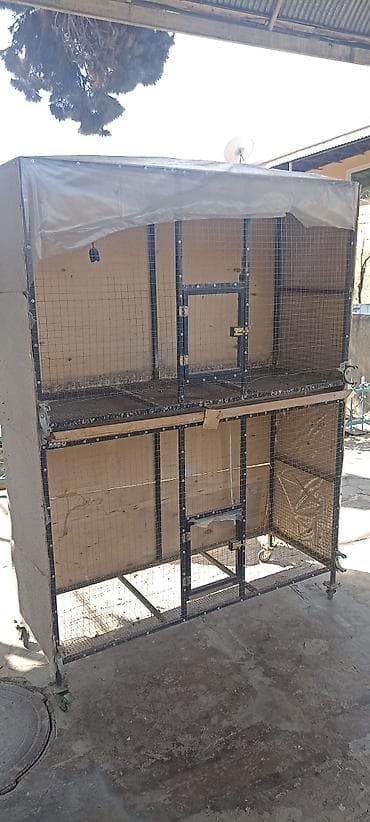 Qəfəs təcili satilir