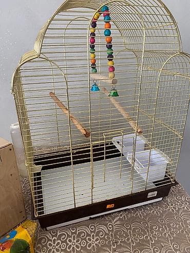 quş üçün qəfəs: Yeni kimidir gəfəs rəngi getmir qızılı poladdır 150 azn öz giyyməti — 2