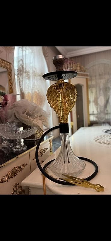 Tecili satilir evde cekirdim isletmirem daha unvan zabrat