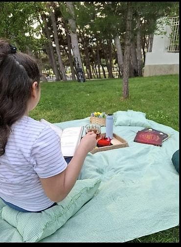 piknik oturacaq: Piknik dəsti – yumşaq doldurmalı, kvadrat naxışlı yaylıq və yastıqlar — 3