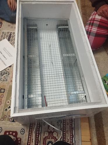 Elektrik inkubator - Tip: Elektriklə işləyən, ventilyatorlu inkubator