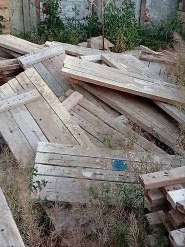 serv agaci: Cornu pocun hazlr şidərdi 5x10 uzunu 1.40 eni 50 sm 1 ədədin qiyməti — 7