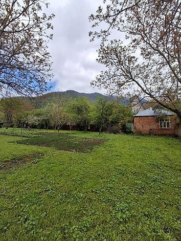 bine qesebesi torpaq satilir: 4 sot, Tikinti, Mülkiyyətçi, Kupça (Çıxarış) — 3