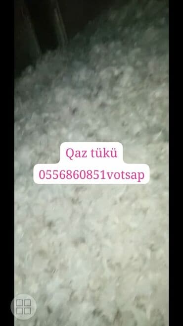 Yuxu üçün Yeni Yastıq, Ödənişli çatdırılma