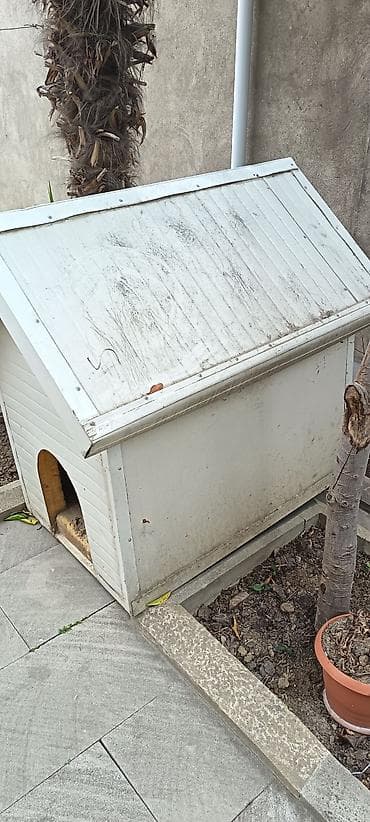 sahibsiz itler: İt evi – açıq havada istifadə üçün - Material: möhkəm taxta karkas — 2