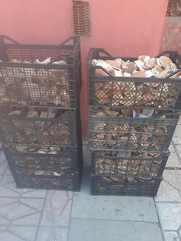 pişik yemi qiyməti: Guru corek 50 kilolug yem kisesinde. 4 azn. xirdalan icra — 3