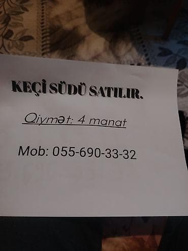 Məhsul: Keçi südü Təsvir: - Təbii keçi südü, gündəlik sağım. - Yemlə