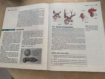 bas gitara: Məhsul: Biologiya üzrə illüstrasiyalı dərslik/kitab Xüsusiyyətlər: - — 4
