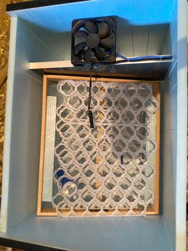 arpa toxumu satışı: 120 dene toyuğ 100 ördəy 50qaz 250bildirçin yumurtası gedir tezedir — 3