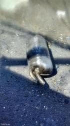 Ötürücü qutuların detalları: BMW 330, 2002 il, Orijinal, Almaniya, İşlənmiş — 1