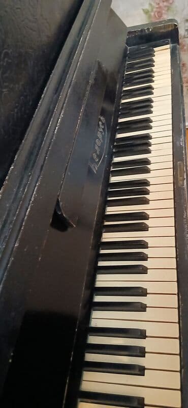 Sintezatorlar: Piano, Akustik — 1