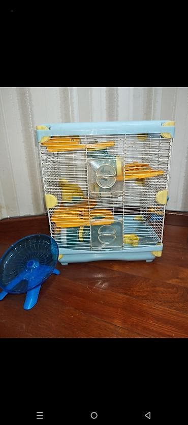 qefes boyuk: Dəbilqəli hamster üçün çoxmərtəbəli qəfəs dəsti - Rənglər: açıq mavi — 7
