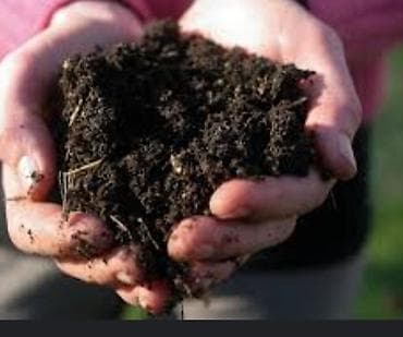 torpaq gence: 12 sot — 2