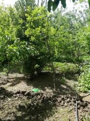 kirayə evlər 2024 ucuz: 3 otaqlı, 116 kv. m, Orta təmir — 1