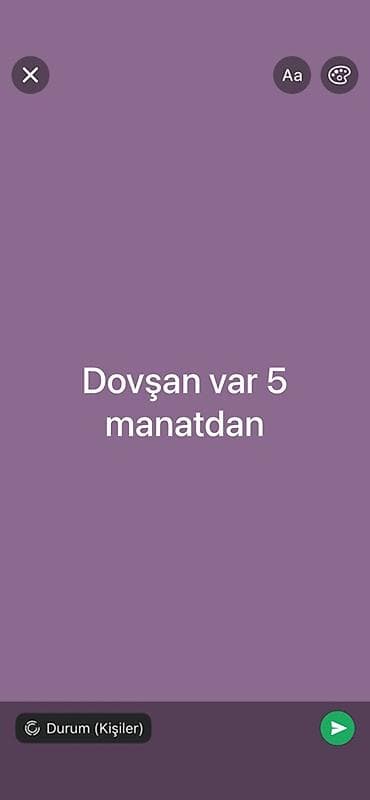 pişik şəkilləri çəkmək: Dovşan satılır — 5 manatdan. - Xırda ev heyvanları kimi saxlanmağa — 1