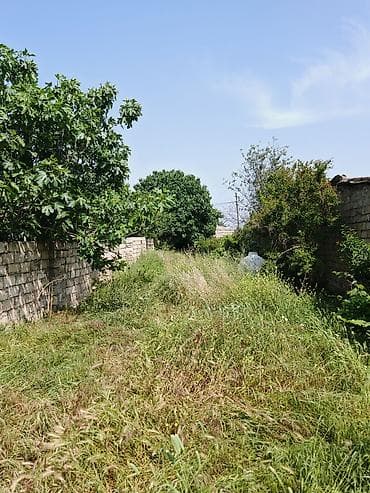 nefci: Tikinti üçün tam yararlı torpaq sahəsi satılır. ✅ Etibarnamə (99 — 5