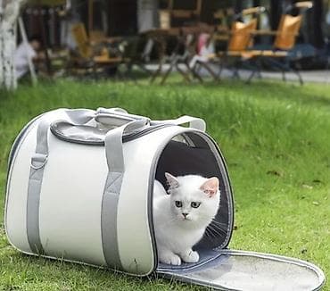 it: Çəkisi yüngül Ev heyvanları üçün daşıma çantası. (Ciddi alıcılara — 7