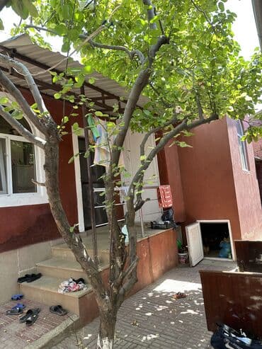 nərimanovda 1 otaqlı kirayə evlər: Новкхани, 78 м², 3 комнаты — 15