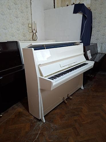 Piano, Petrof, Akustik, Yeni, Pulsuz çatdırılma